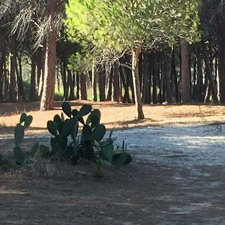Sa Petra Ruja Vacanze