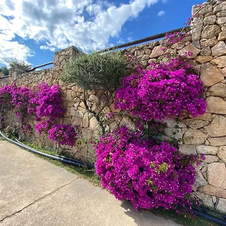 Sa Petra Ruja Vacanze Holiday home Santa Lucia (Sardinia)