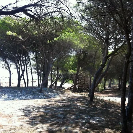 بيت للعطل Sa Petra Ruja Vacanze *