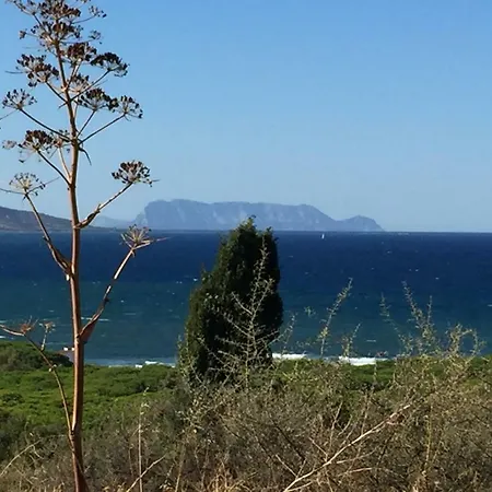 Sa Petra Ruja Vacanze Holiday home *