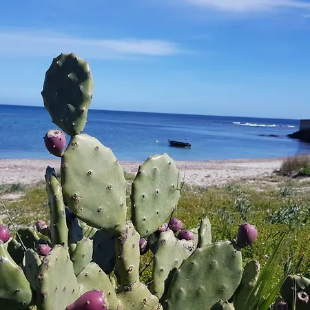 Sa Petra Ruja Vacanze Tatil Evi *