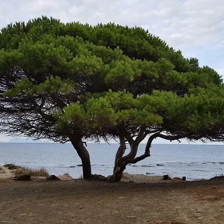 Holiday home Sa Petra Ruja Vacanze Santa Lucia (Sardinia)